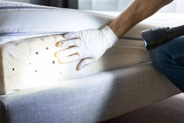 Best Commercial Pest Control Services  in Fort Valley, AZ