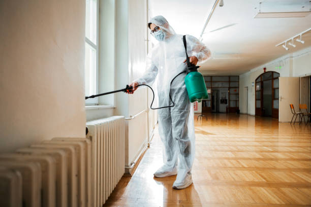 Best Best Pest Control Companies  in Fort Valley, AZ